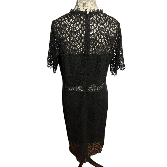 Chic Black Lace Midi Dress - Picture 3 of 6